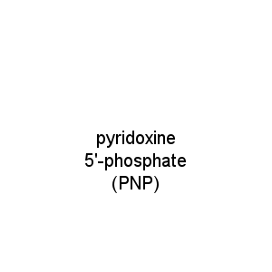 pyridoxine 5'-phosphate (PNP)